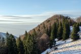 201212301502-AJS_5945.jpg